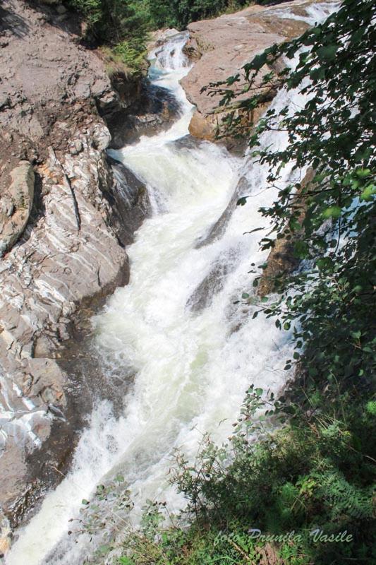 Pensiunea Cascada Putnei Лепша Екстер'єр фото